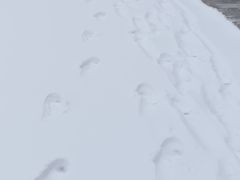 -红星码头