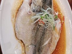 -古南都·老广东酒楼(龙江店)
