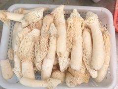 -山大王菌莊