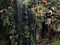 -正佳雨林生态植物园