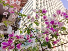 -转山咖啡(松柏社区店)