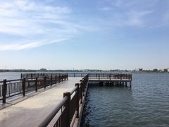 -鹅湖玫瑰文化园