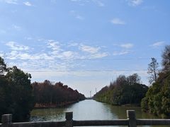 -上海海湾国家森林公园