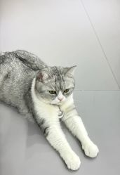 -我舞空间舞蹈培训