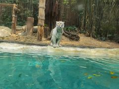 -兰剑驾校(汉阳校区)