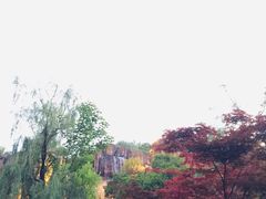 -贵阳中天凯悦酒店