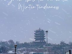 -红鼎豆捞·非遗鲍皇汤火锅(宝丰路店)