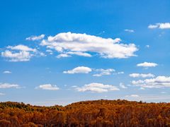 -塞罕坝国家级自然保护区