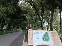 -广州市白云山风景名胜区