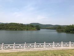 -佛手湖郊野公园
