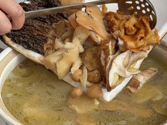 -蘑统田下·野生菌火锅