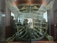 -千年银杏谷文化旅游区