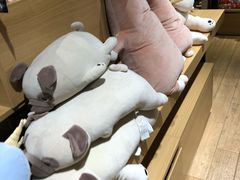 -九木杂物社(恒隆广场店)