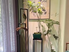 -王府茶楼茶宴·创意菜(大观园总店)