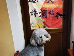 -沏点Trattoria意大利餐厅(新街口店)