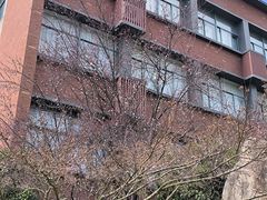 -浙江大学(玉泉校区)