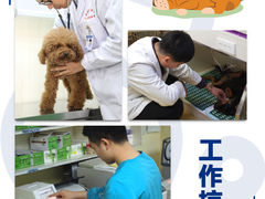 -宠颐生宠物医院(·宠保定点·鹰潭分院)