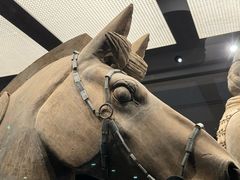 -秦始皇帝陵博物院(兵马俑)