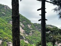 -九华山风景区
