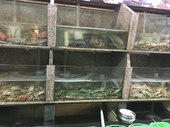 水产区-龙宫海鲜楼(长乐漳港店)