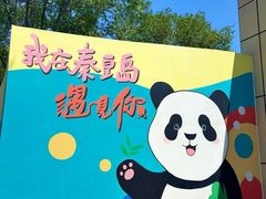 -秦皇岛野生动物园