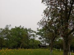 -尚贤河湿地