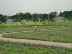 -江苏三台山国家森林公园