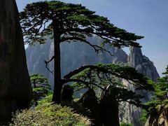 -黄山风景区