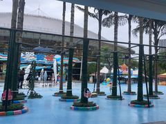 -海合安成都极地海洋公园
