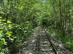 -合肥滨湖国家森林公园