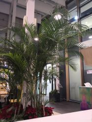 -安利上海体验馆