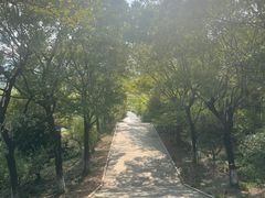 -金钉子远古世界景区