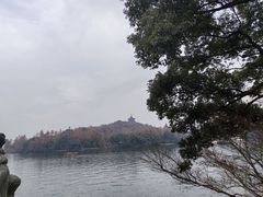 -西湖外事游船(花港观鱼码头)