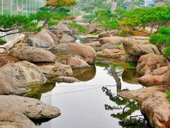 -罗红摄影艺术馆