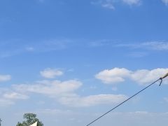 -上海都市菜园