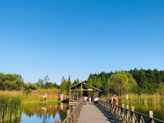 -溱湖国家湿地公园