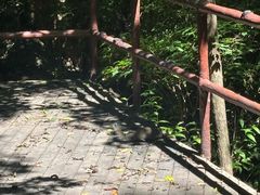 -九龙潭景区