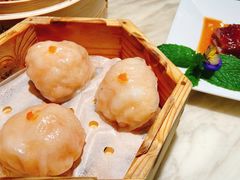 -陶陶居酒家(SM二期购物广场店)