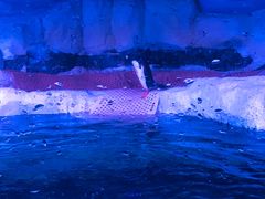 -暹罗海洋世界