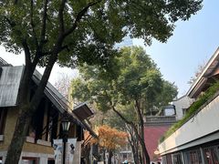 -芙蓉堂(武汉天地店)