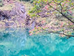 -大奇山国家森林公园