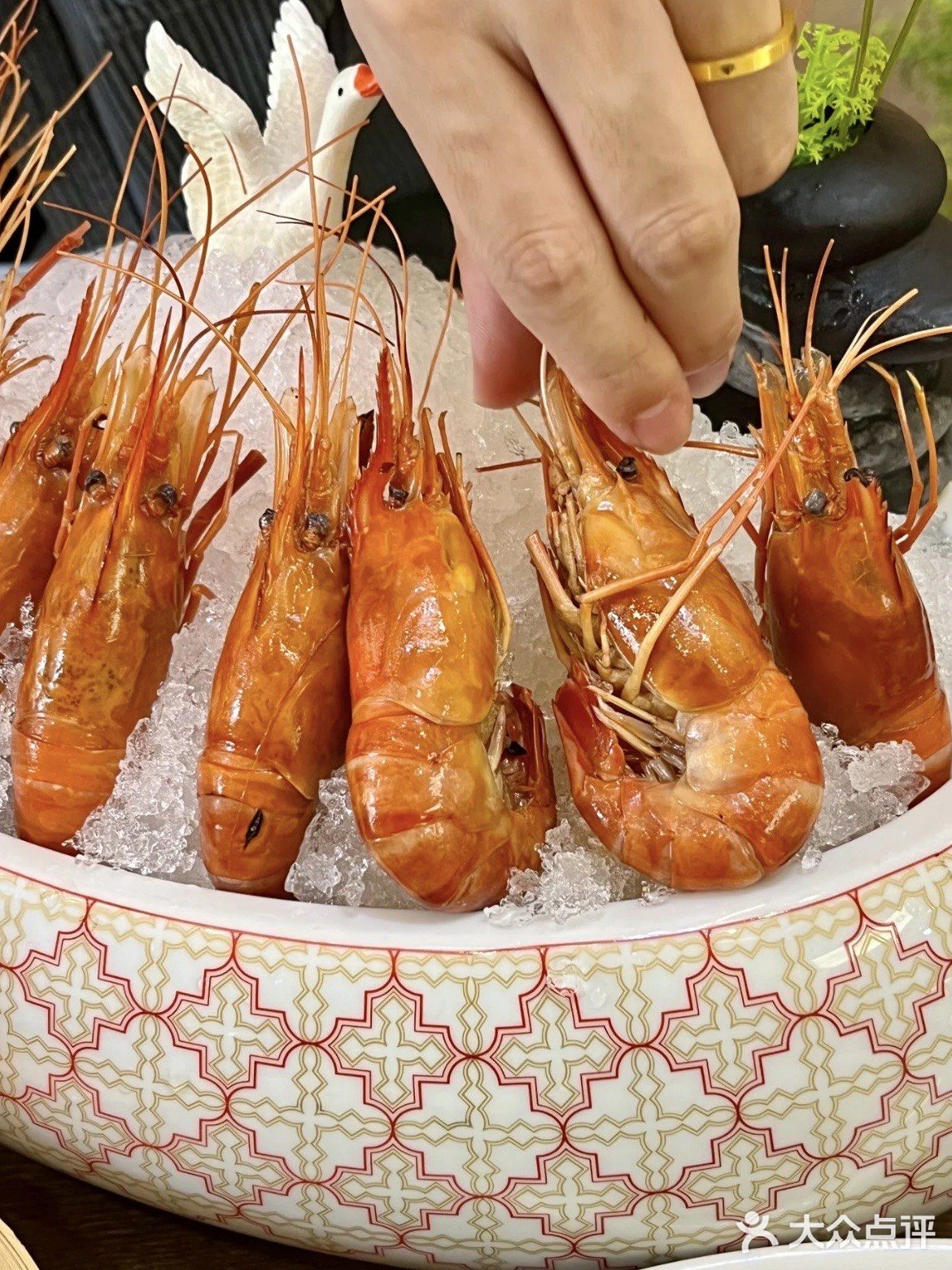 预计是桐乡下一个被挤爆的餐厅🔥