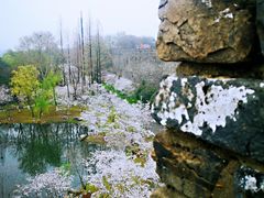 -南京城墙景区