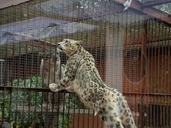 -青藏高原野生动物园