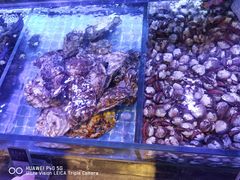 -渔民船说·北塘海鲜·天津菜·海肠捞饭(北塘古镇店)
