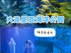 -大连圣亚海洋世界