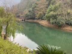 -桃花岭景区