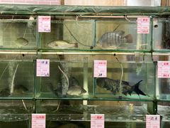 水产区-祈胜邨•顺德鱼生•顺德菜(容桂店)