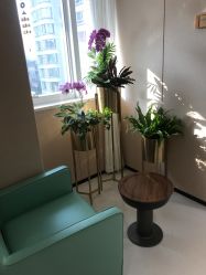 -广东韩妃整形外科医院