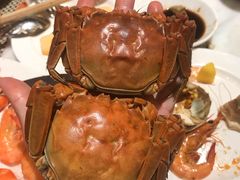 -都会尚膳·海鲜自助餐厅(重庆万豪酒店)